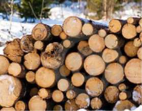 ľ��ȼ�����h����Ӱ�