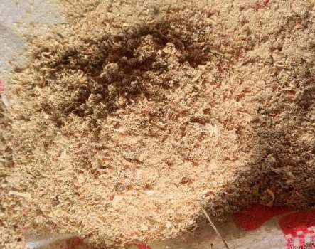 �xُ��ľ��Ҫע�ص��c