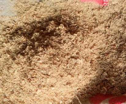 ��ľ�۵�������r���õ�ԭ��