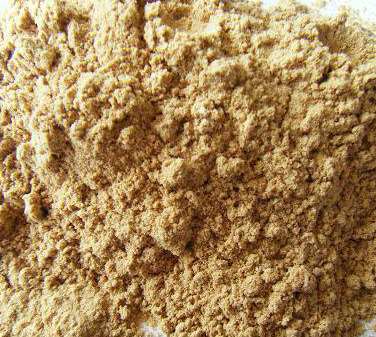 ��ľ�۱���������Щ�I��