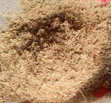 ��B��ľ�۵ĺY�x�˜�