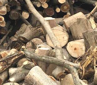 ľ�Ĳ�ُ(g��u)�е�ע�����(xi��ng)