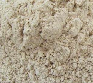 �sľ������Щ��;