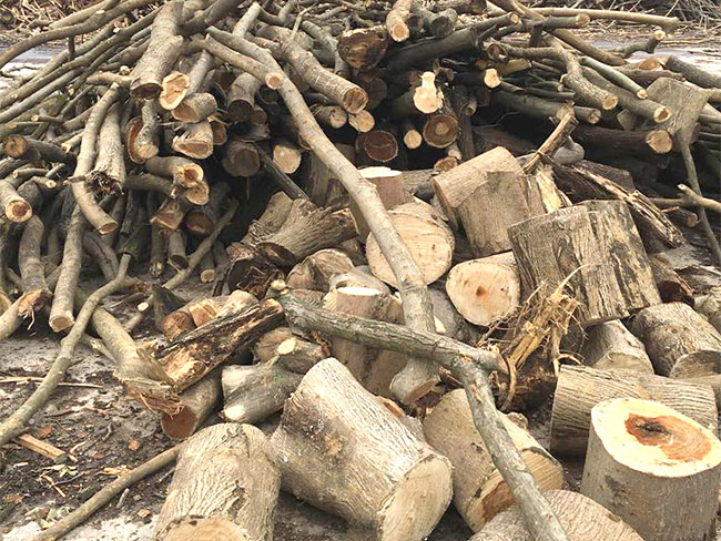 ľ�ĵĻ���������ʲô��